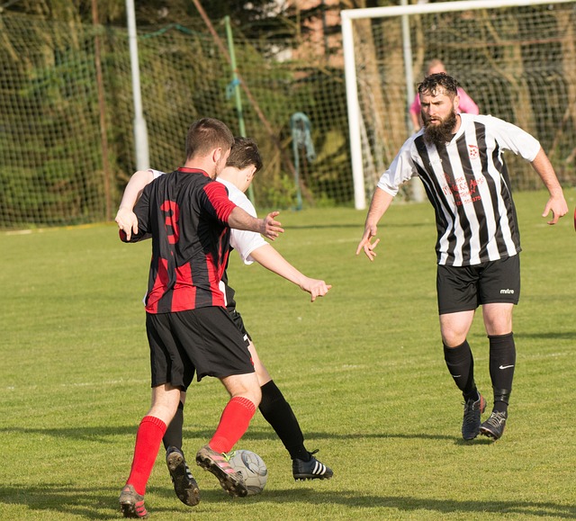 开发了多样 开发了多样