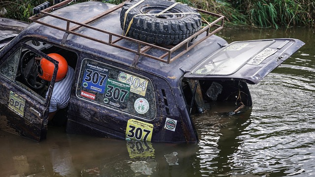 特奥作为中 特奥作为中