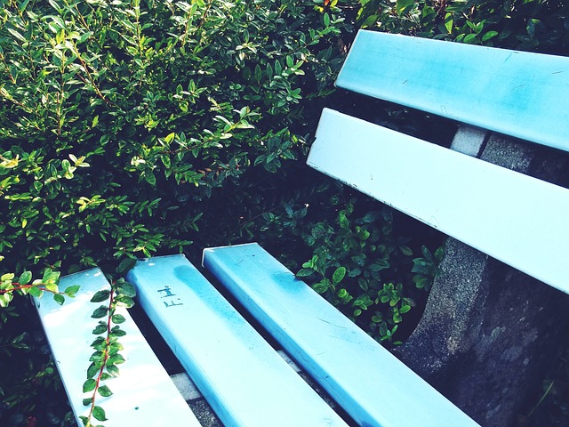 帮助其在技 帮助其在技